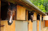free Coxpark stable construction quotes